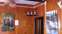 IMG_0193.jpg, 26kB
